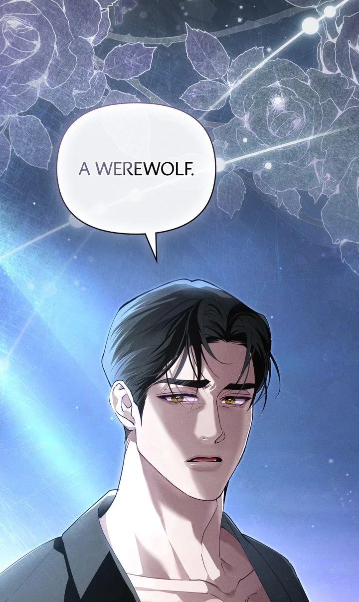 Werewolves Going Crazy over Me Chapter 56 – Page 76