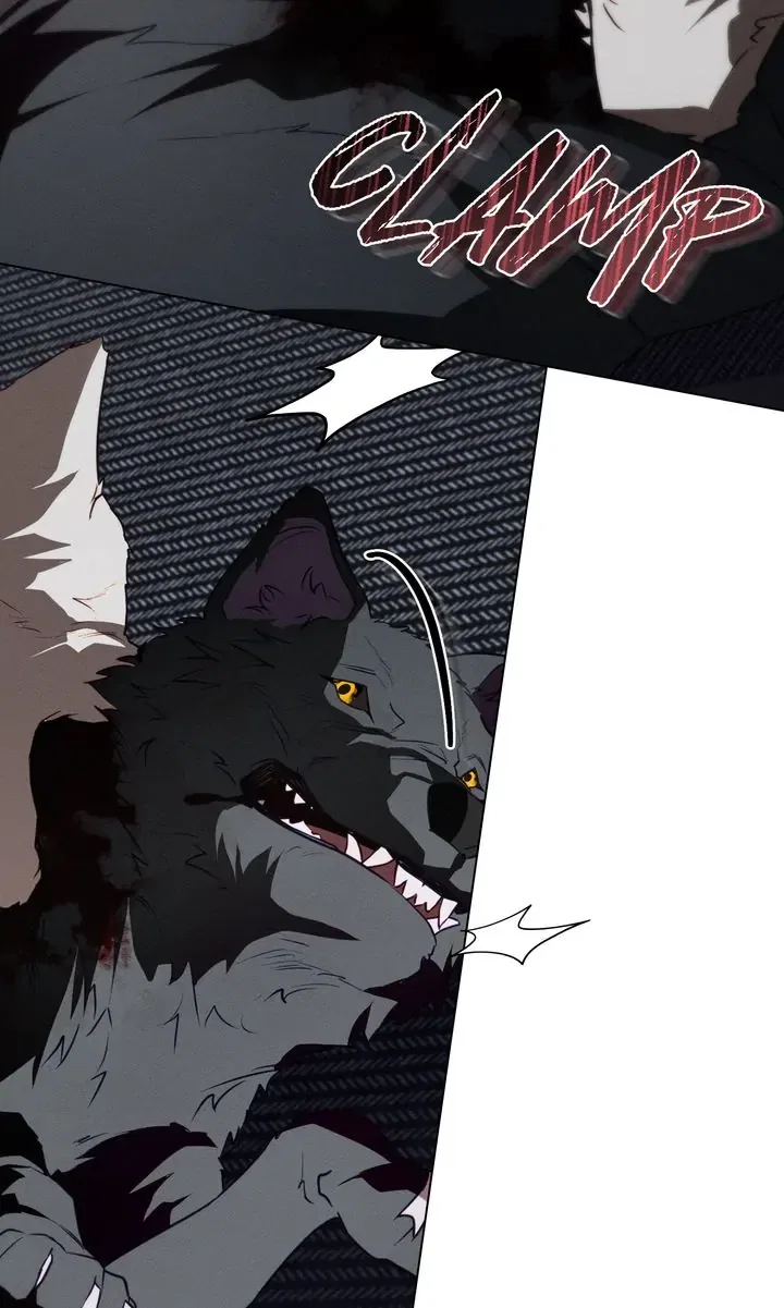 Werewolves Going Crazy over Me Chapter 55 – Page 51