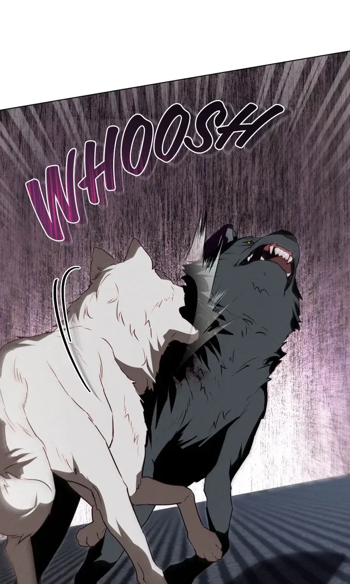 Werewolves Going Crazy over Me Chapter 55 – Page 53