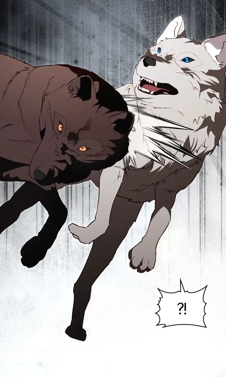 Werewolves Going Crazy over Me Chapter 55 – Page 61