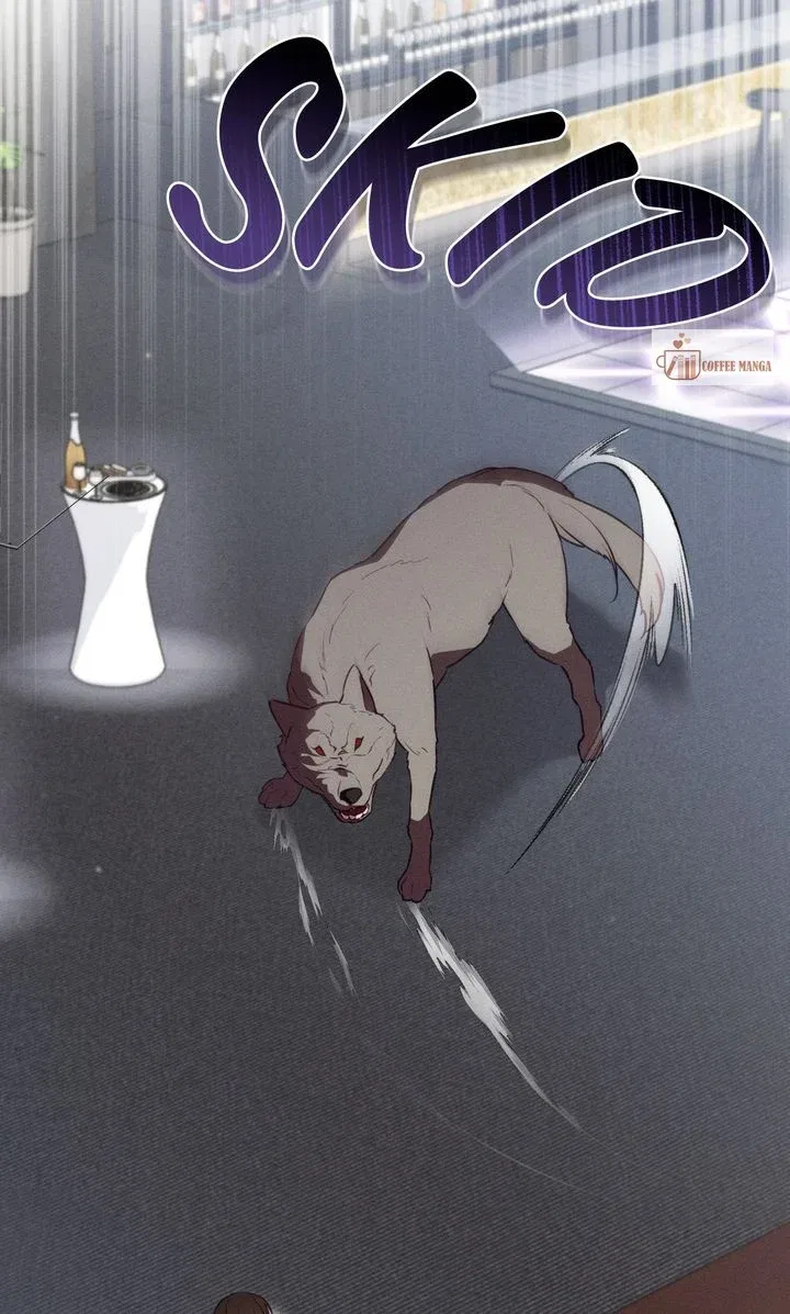 Werewolves Going Crazy over Me Chapter 54 – Page 11