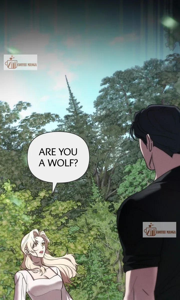 Werewolves Going Crazy over Me Chapter 46 – Page 35