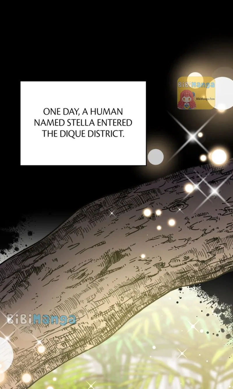 The Forgotten Princess Wants To Live In Peace Chapter 89 – Page 47