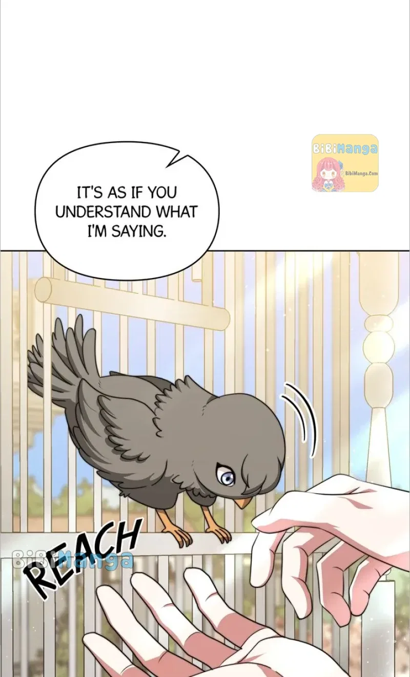 The Forgotten Princess Wants To Live In Peace Chapter 79 – Page 71