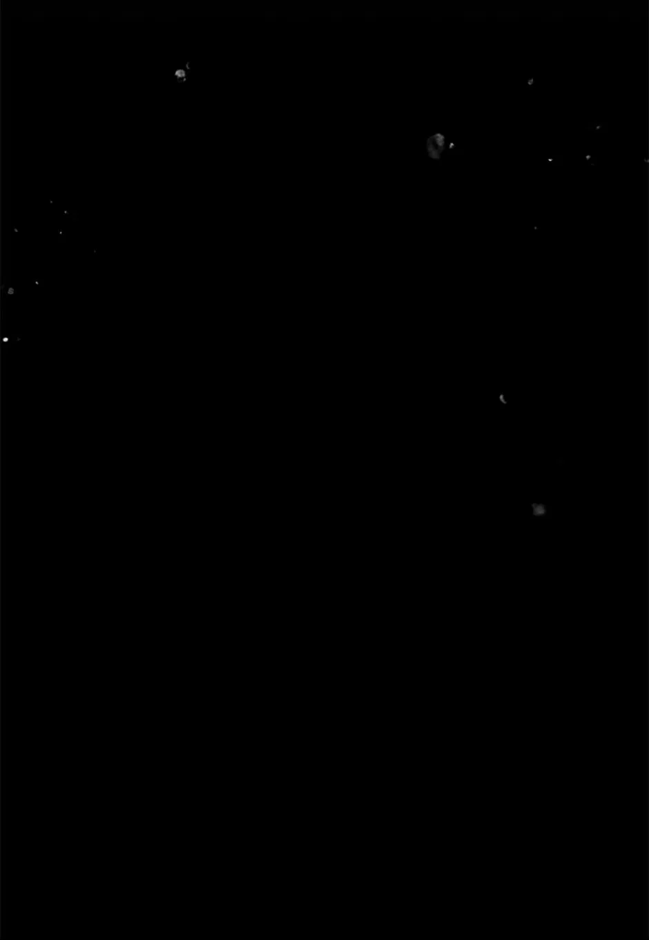 I’ll Change My Fate To Be Executed Chapter 62 – Page 59