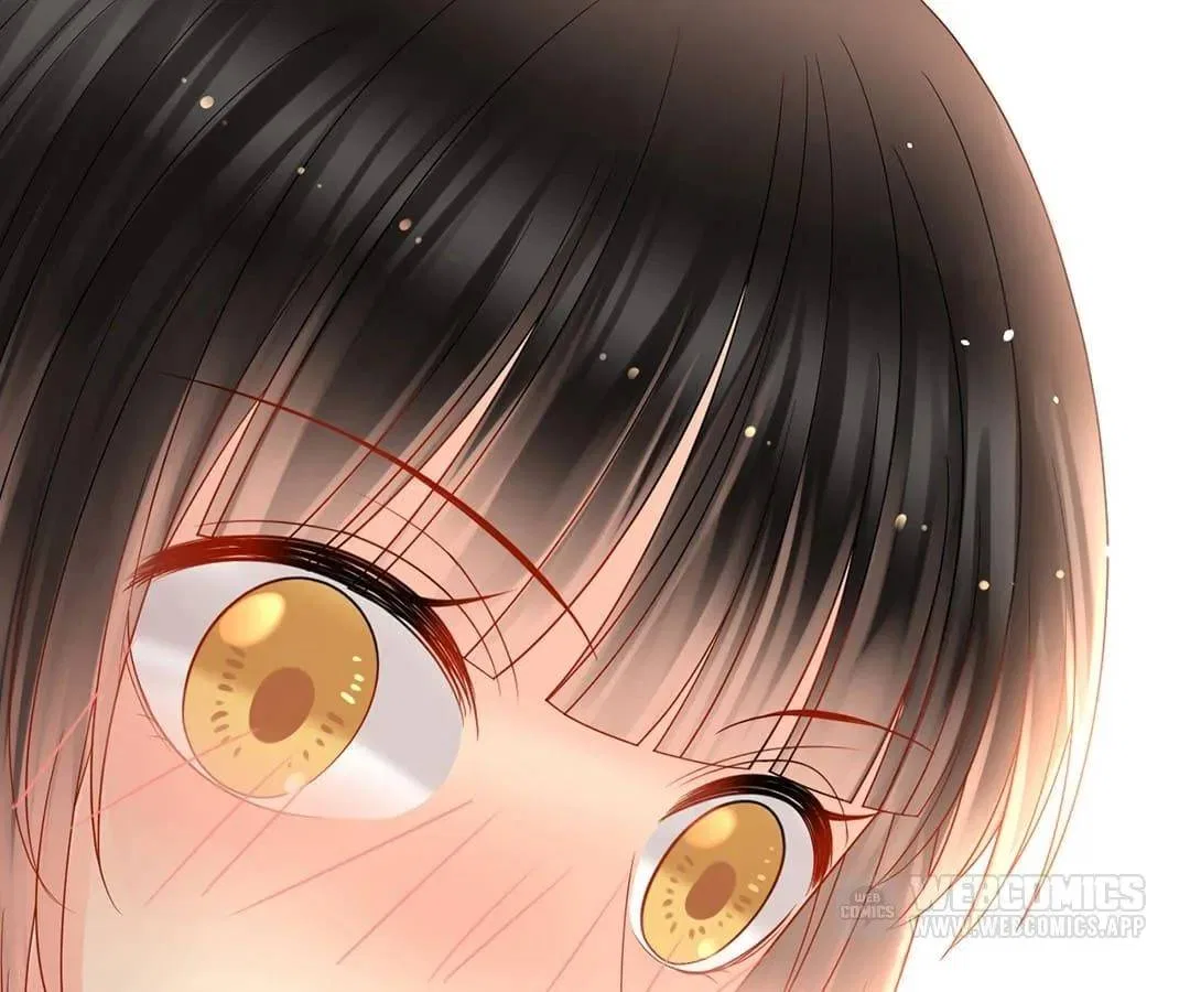 Stay With The CEO Chapter 171 – Page 46