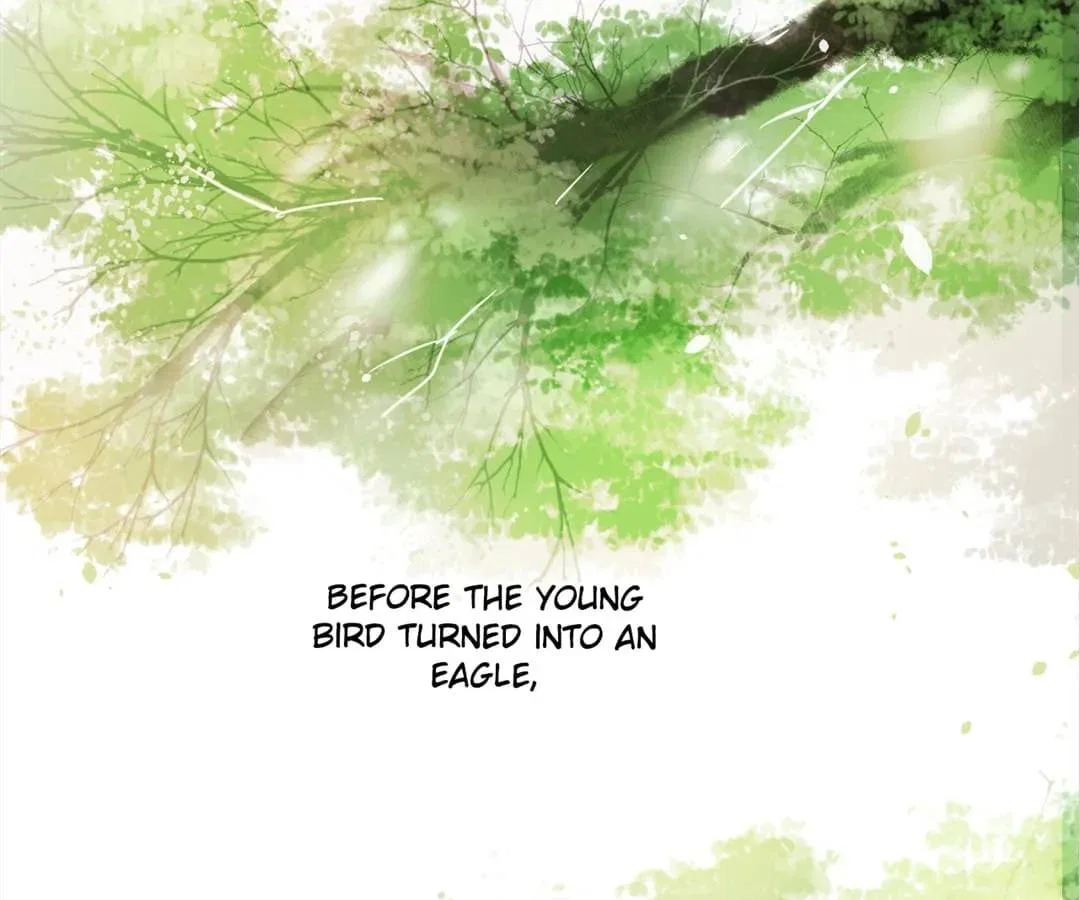 Stay With The CEO Chapter 164 – Page 40
