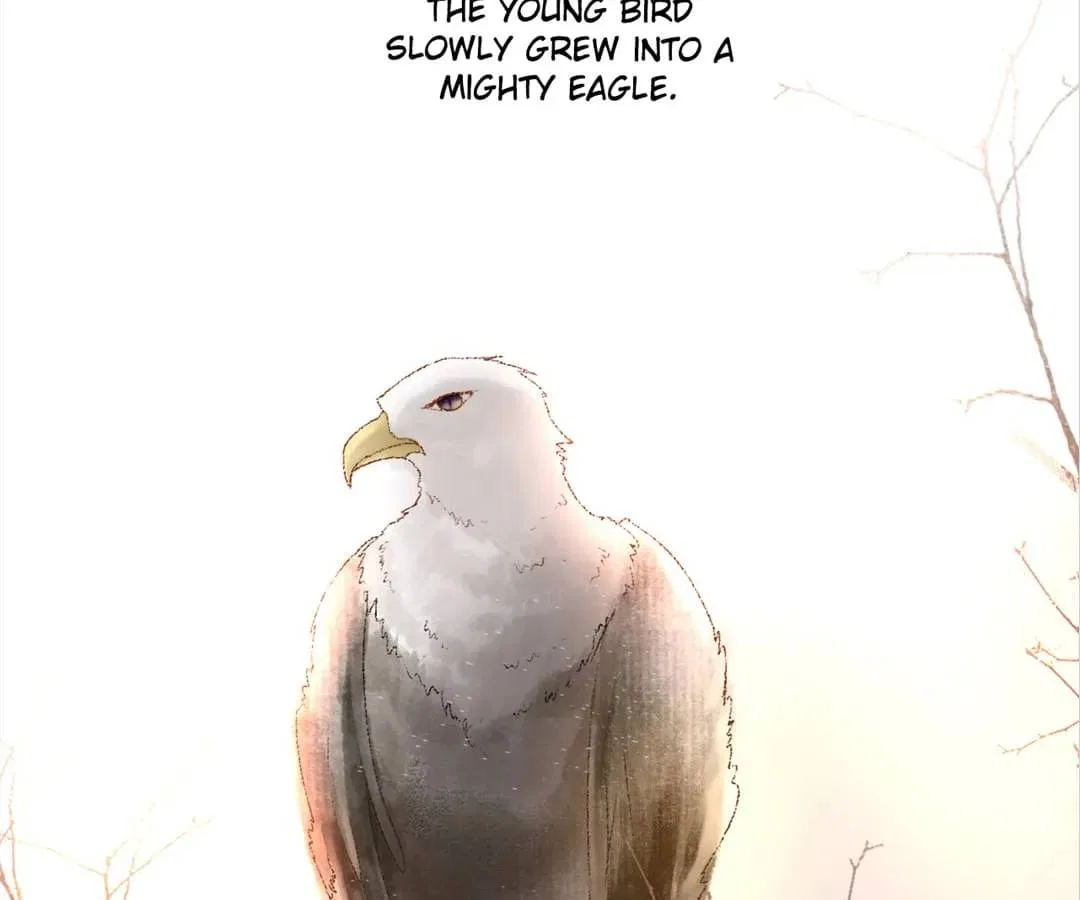 Stay With The CEO Chapter 163 – Page 39