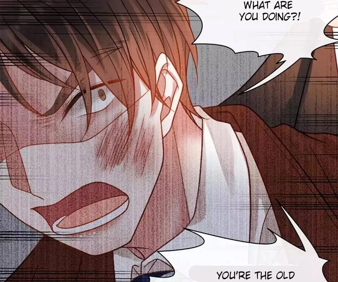 Stay With The CEO Chapter 156 – Page 43