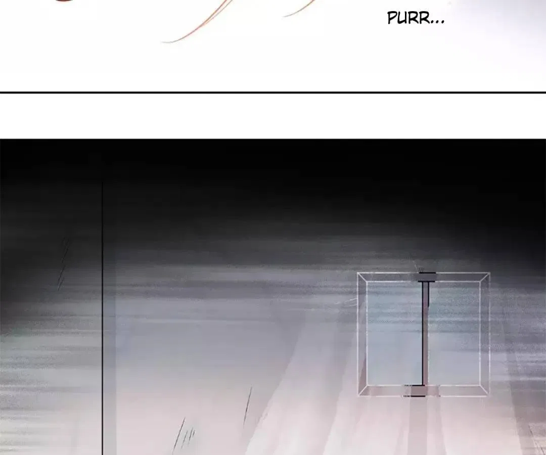 Stay With The CEO Chapter 152 – Page 5