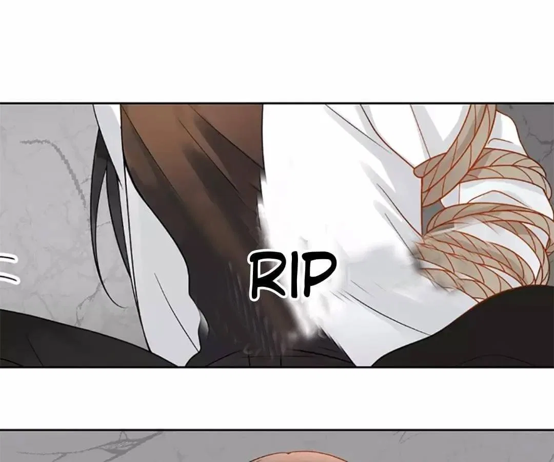Stay With The CEO Chapter 152 – Page 12