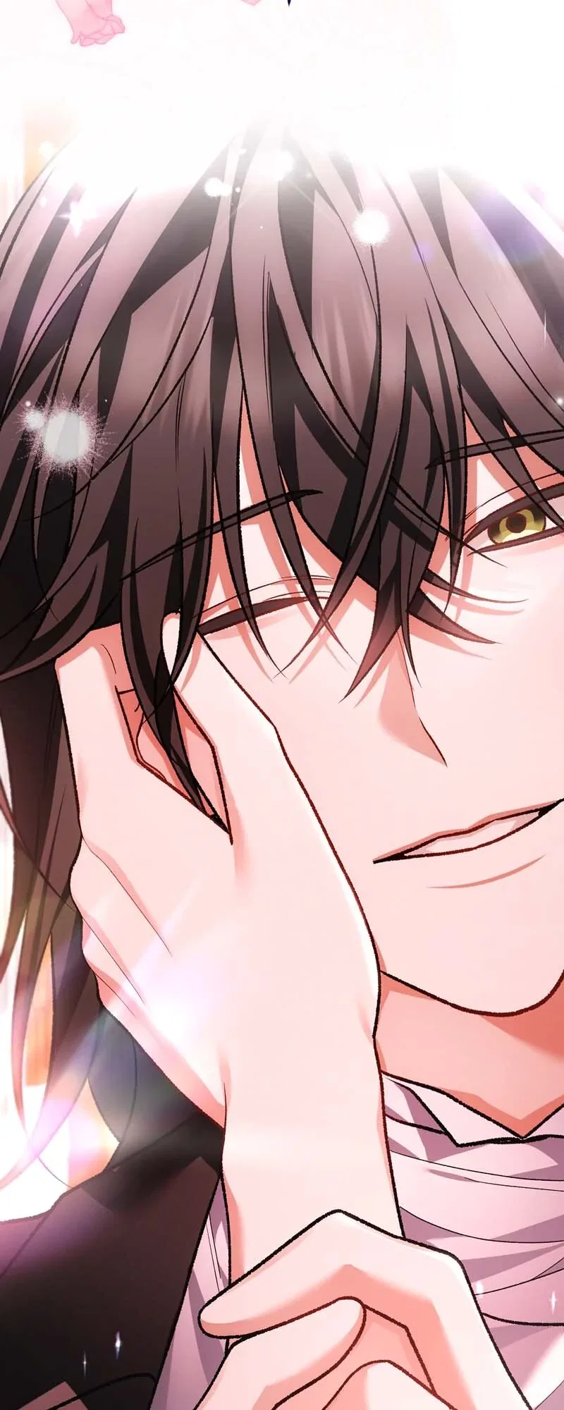 The Second Male Lead is Actually a Girl Chapter 70 – Page 27