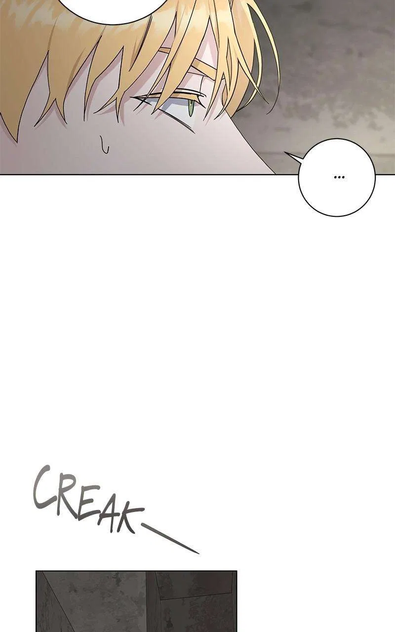 Best Of Luck, Warrior! Chapter 73 – Page 48