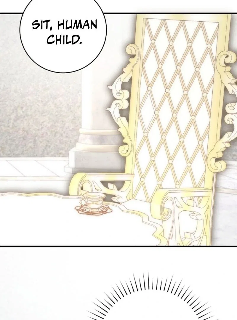 The Archduke’s Gorgeous Wedding Was a Fraud Chapter 95 – Page 88