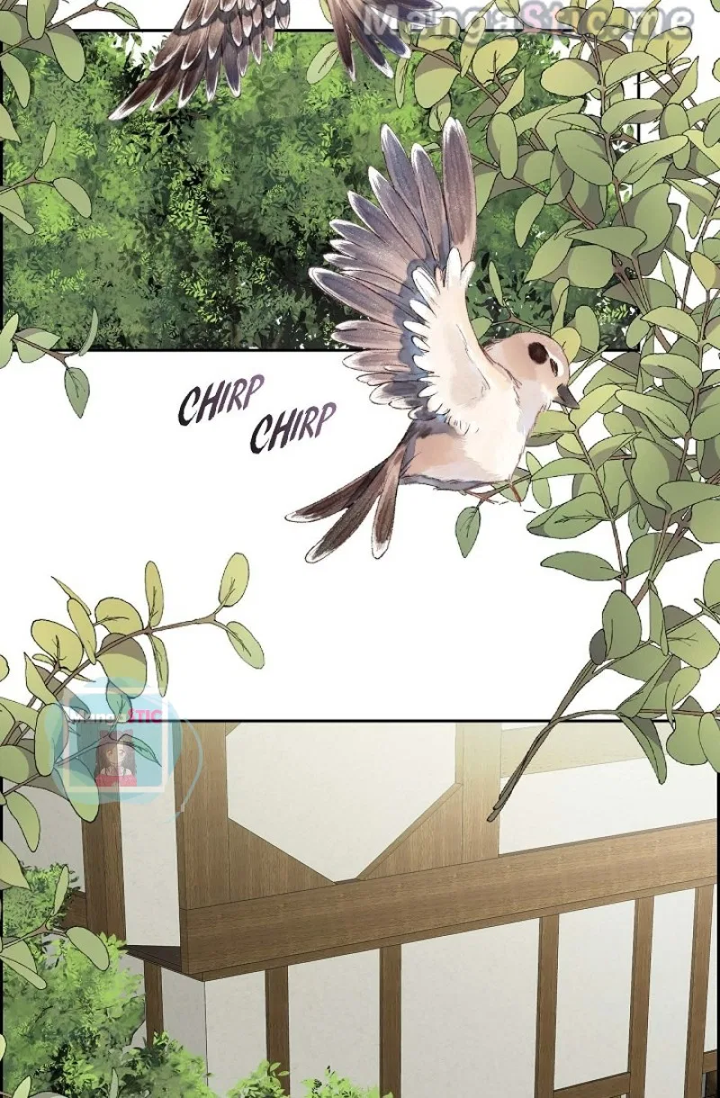 For Stella Chapter 70 – Page 23
