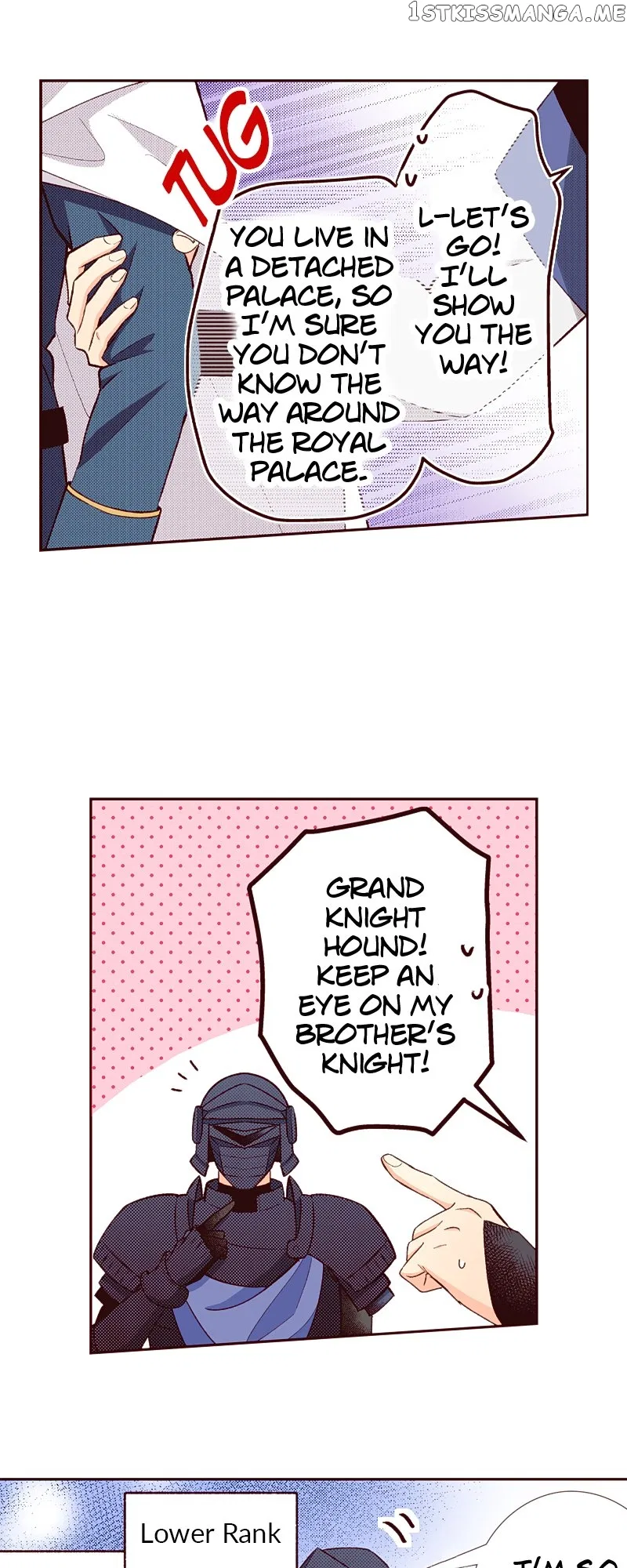 Grand Master Knight Has Become the Princess Chapter 31 – Page 29