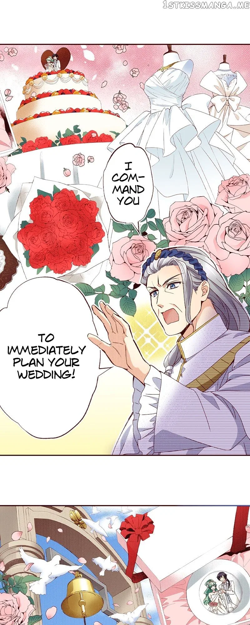 Grand Master Knight Has Become the Princess Chapter 29 – Page 7