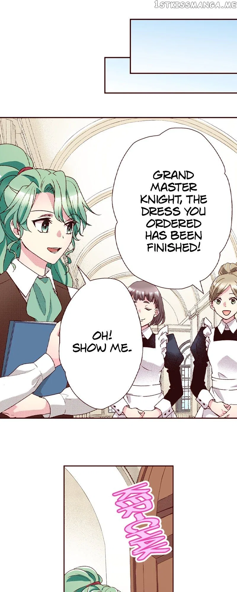 Grand Master Knight Has Become the Princess Chapter 29 – Page 25