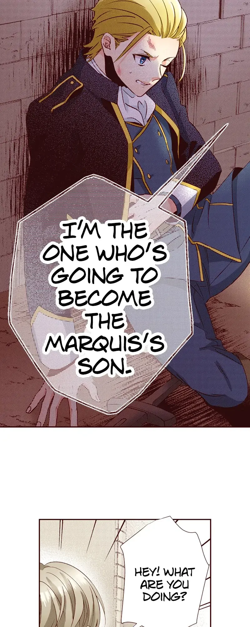 Grand Master Knight Has Become the Princess Chapter 24 – Page 3