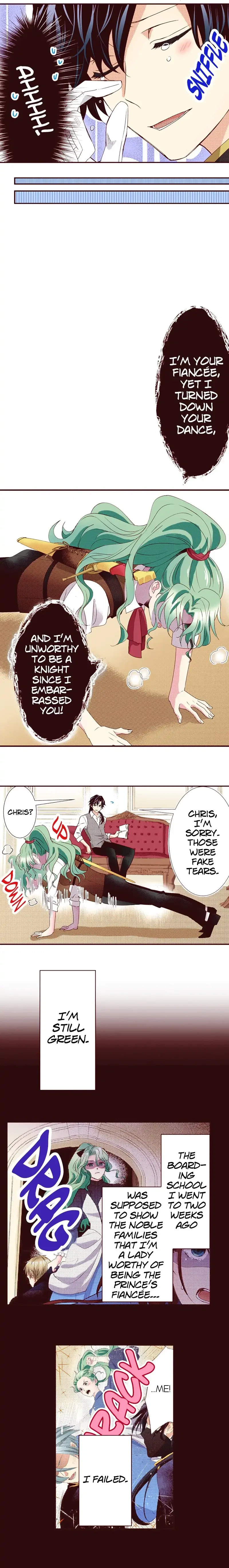 Grand Master Knight Has Become the Princess Chapter 21 – Page 4