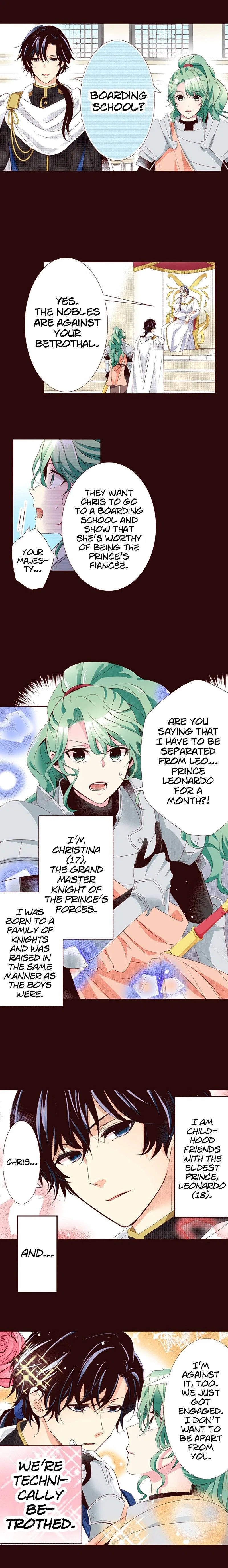 Grand Master Knight Has Become the Princess Chapter 13 – Page 3