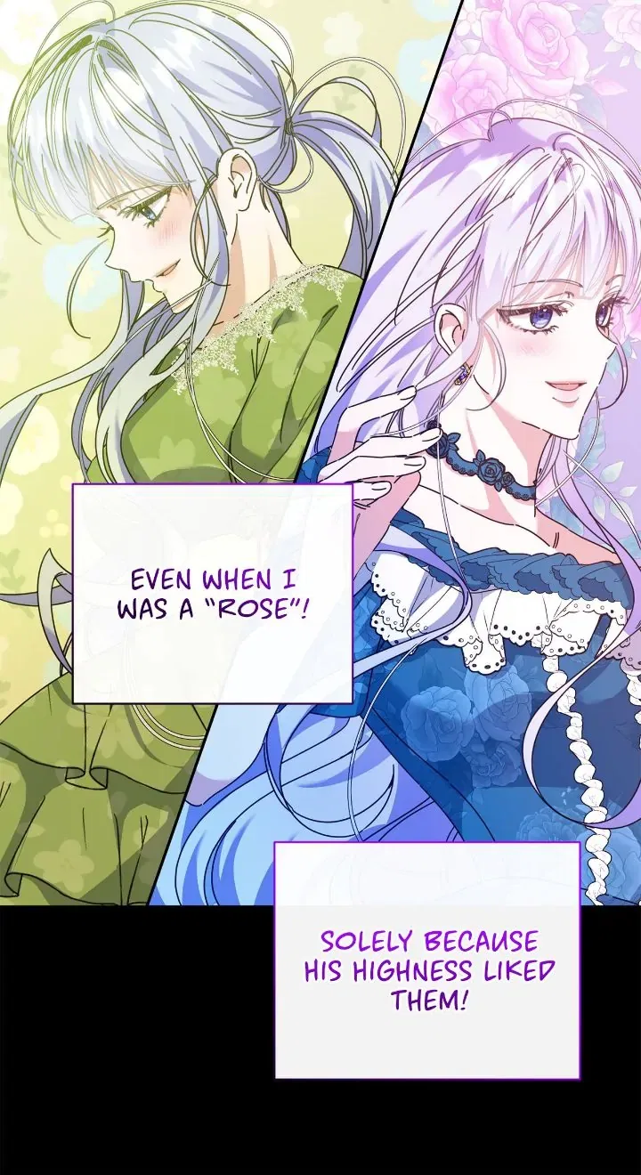 When the Witch’s Daughter Lifts the Male Lead’s Curse Chapter 64 – Page 36