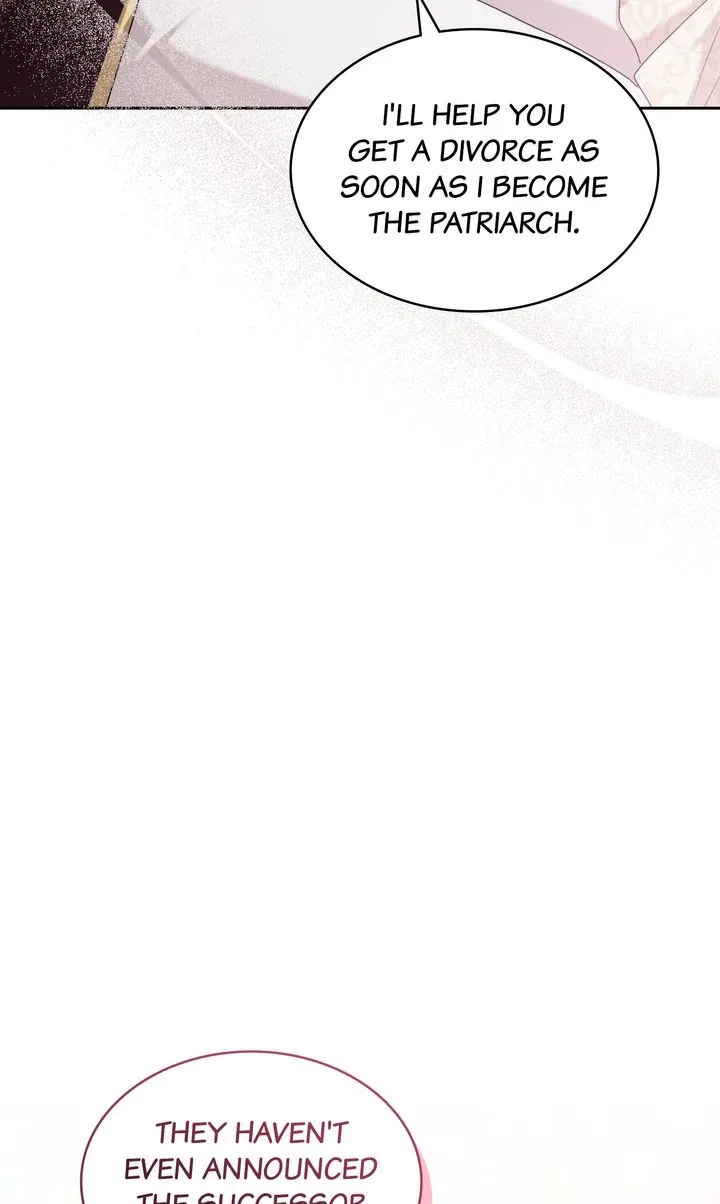 Marriage Contract With Two Husbands Chapter 58 – Page 95