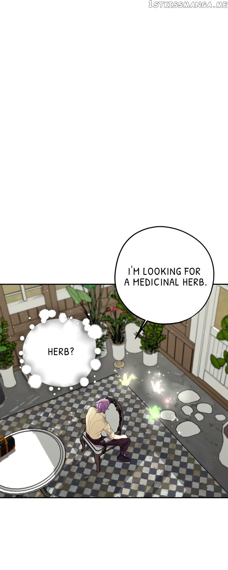 Hello, I’m the Gardener! Chapter 71 – Page 3
