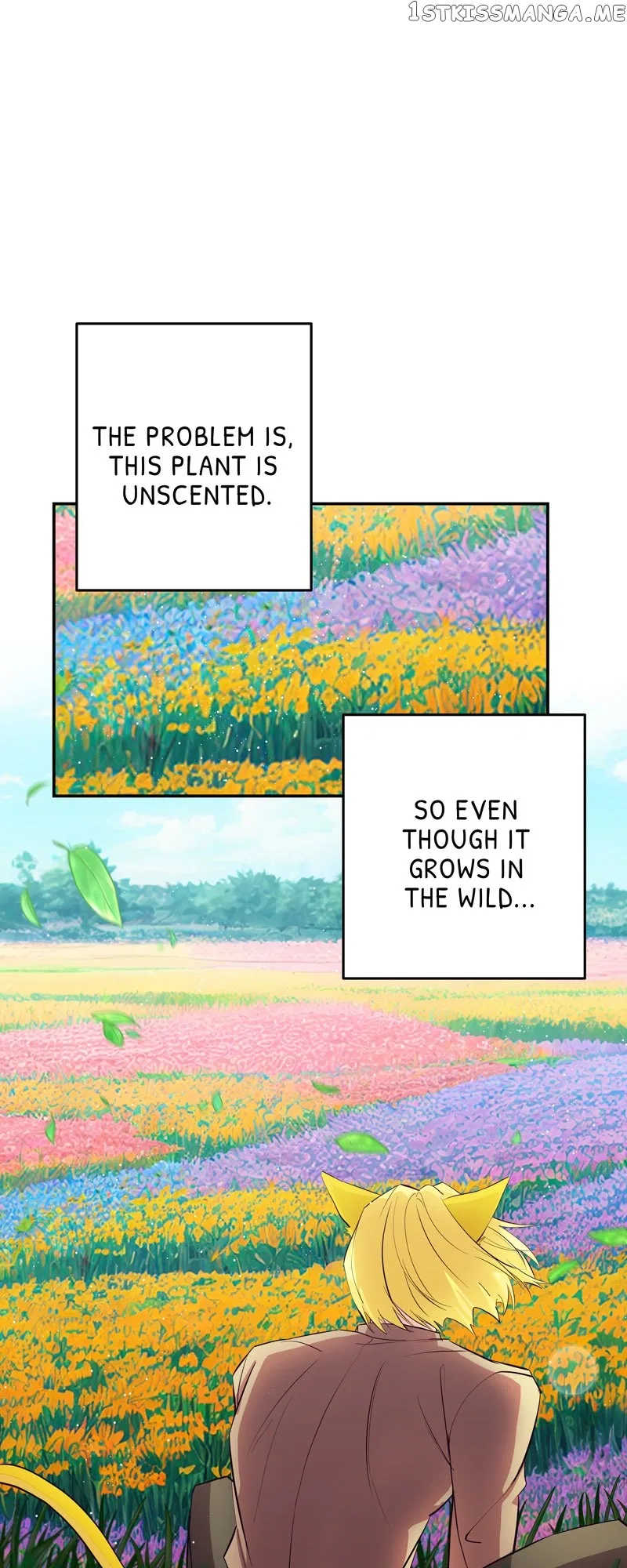 Hello, I’m the Gardener! Chapter 71 – Page 6