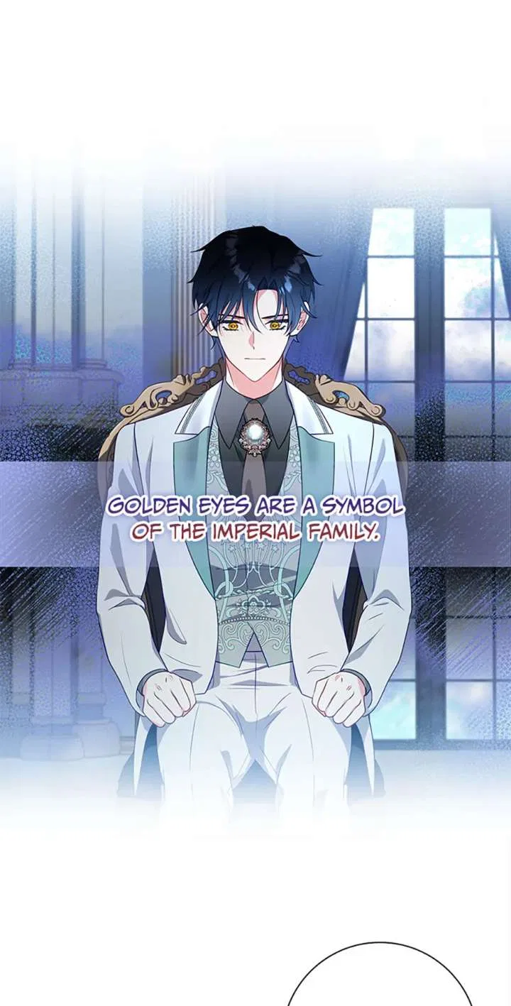 My Husband Is My Choice Chapter 66 – Page 53