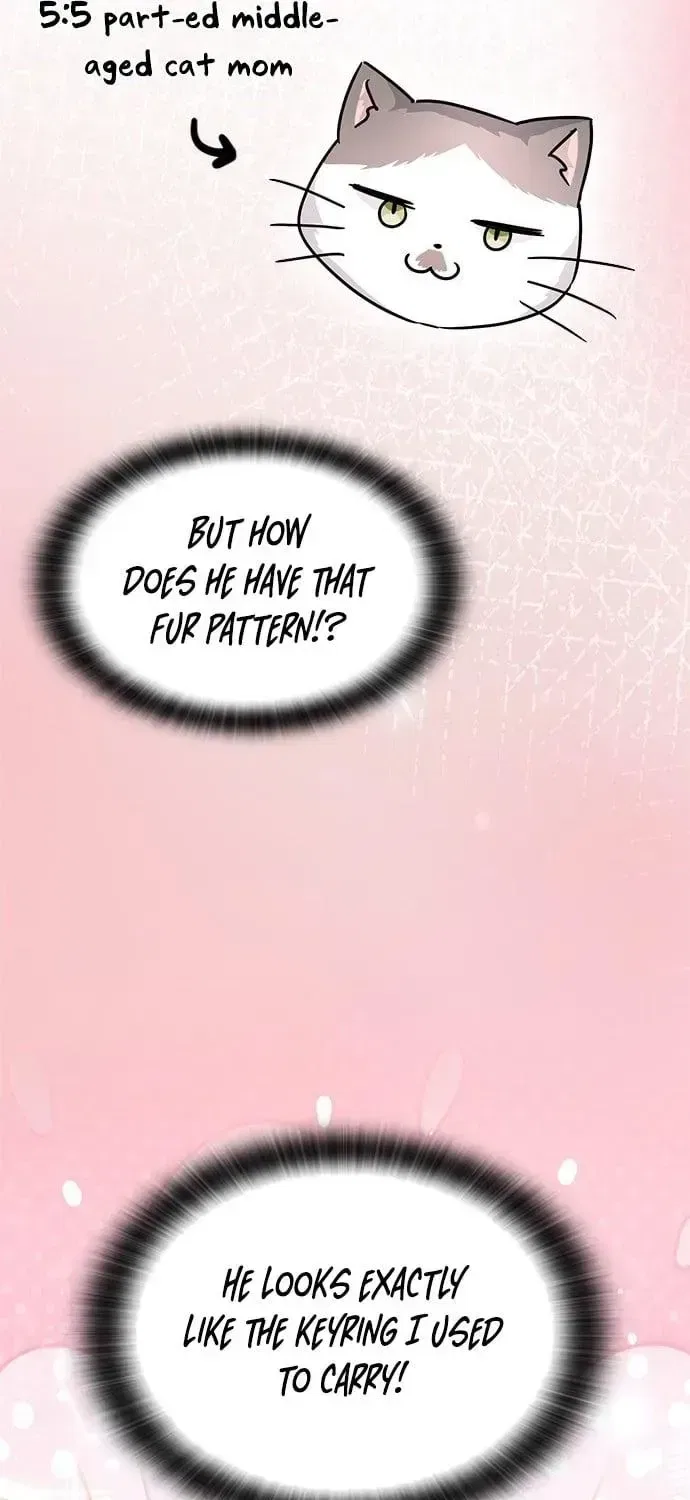 If Everyone in the World Were a Cat Chapter 7 – Page 12