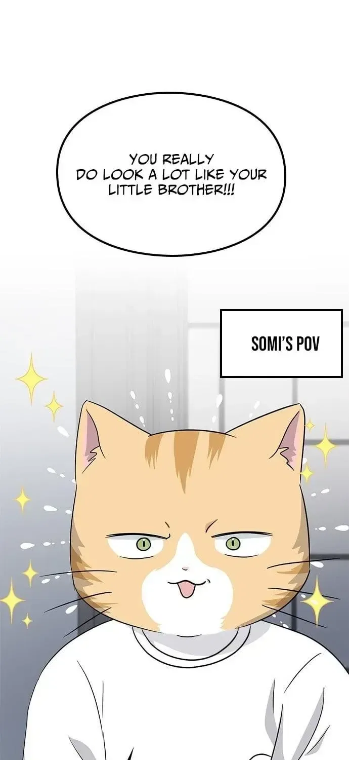 If Everyone in the World Were a Cat Chapter 6 – Page 22
