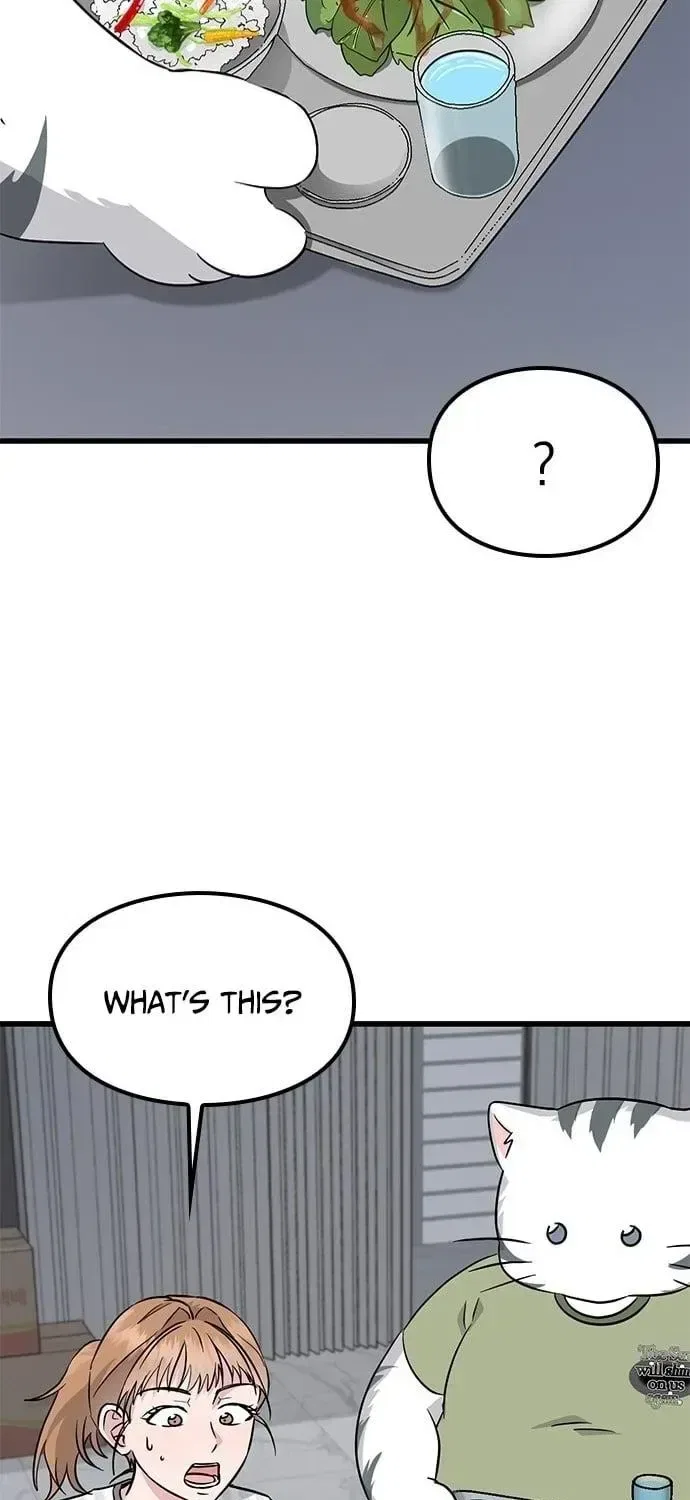 If Everyone in the World Were a Cat Chapter 6 – Page 40
