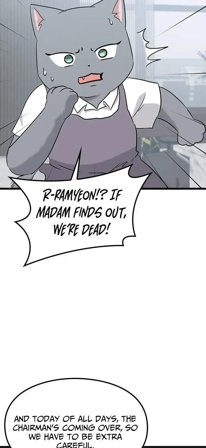 If Everyone in the World Were a Cat Chapter 6 – Page 75