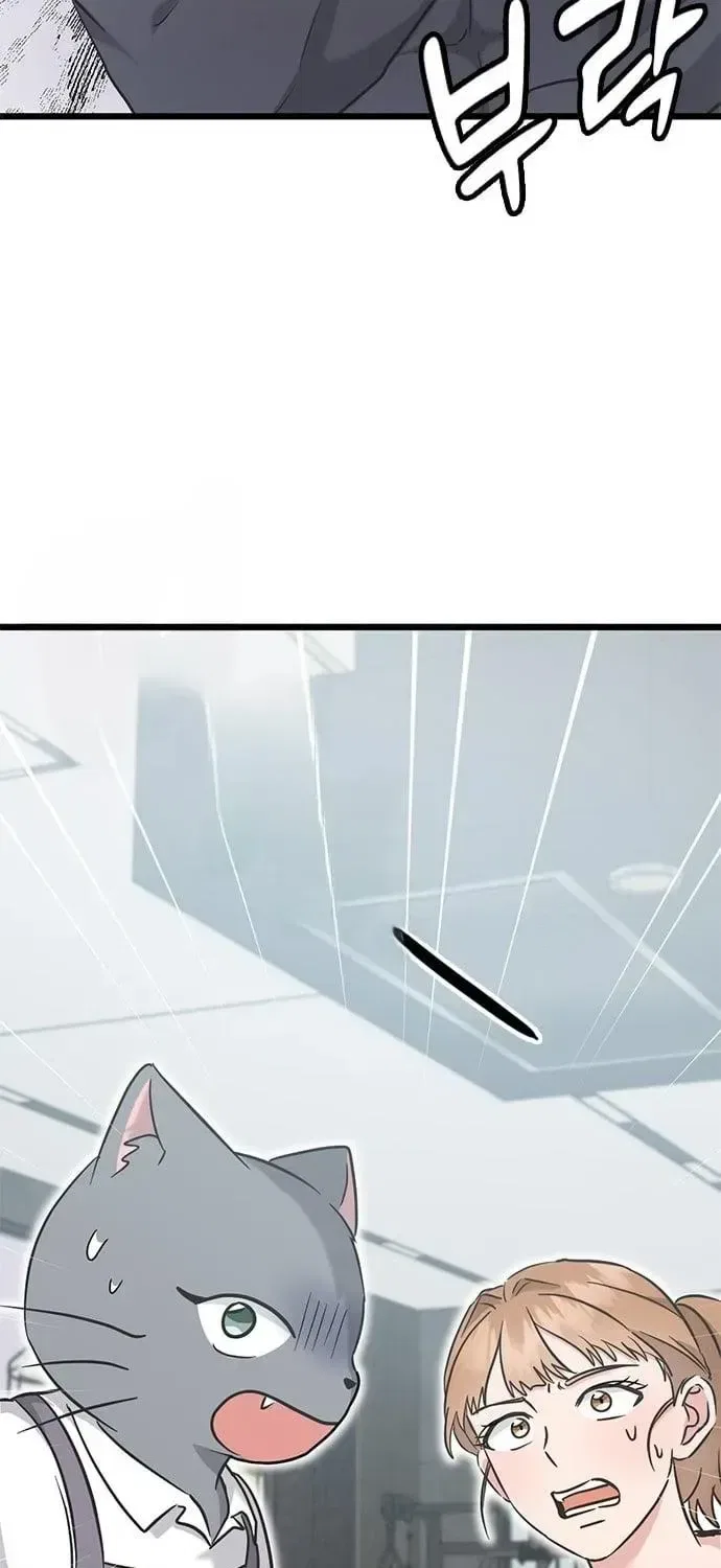 If Everyone in the World Were a Cat Chapter 6 – Page 82