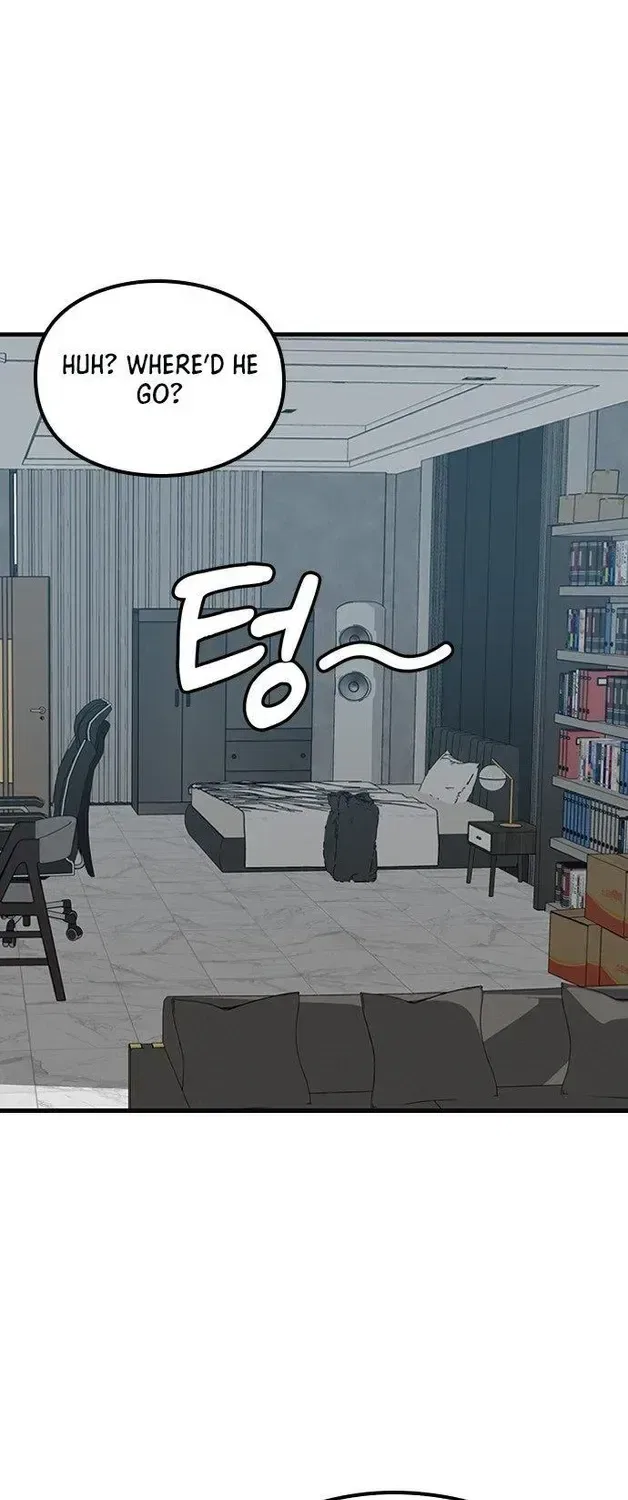 If Everyone in the World Were a Cat Chapter 5 – Page 5