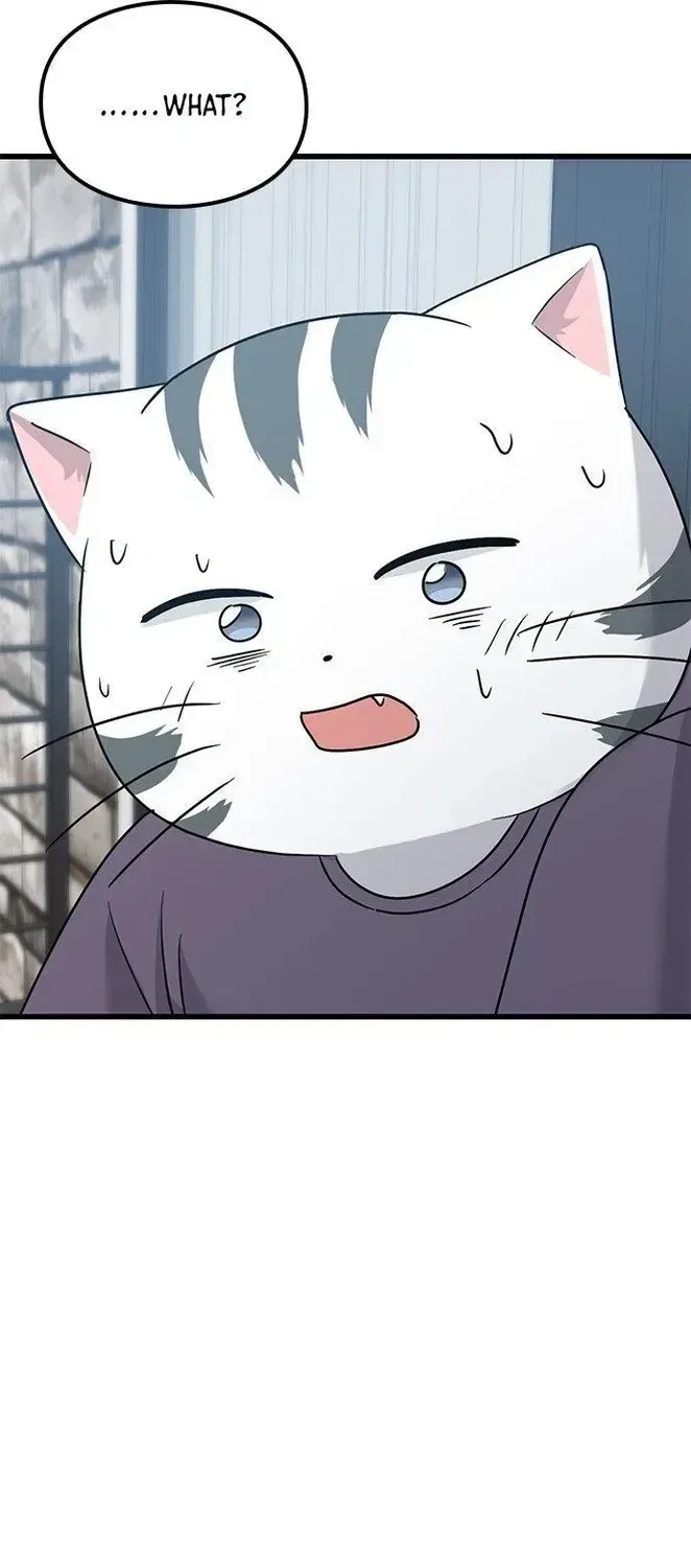 If Everyone in the World Were a Cat Chapter 5 – Page 23