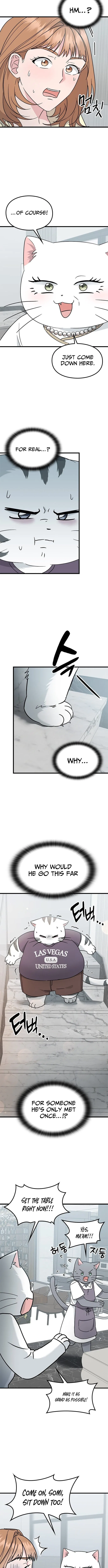 If Everyone in the World Were a Cat Chapter 4 – Page 3