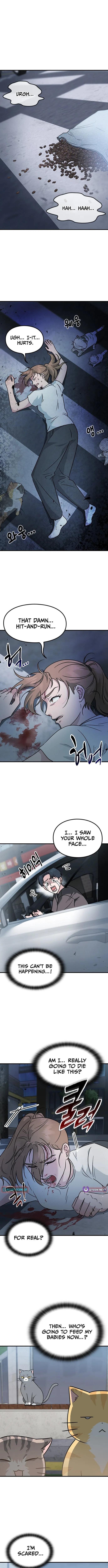 If Everyone in the World Were a Cat Chapter 1 – Page 2