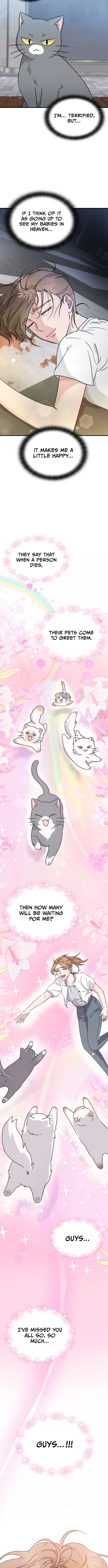 If Everyone in the World Were a Cat Chapter 1 – Page 3