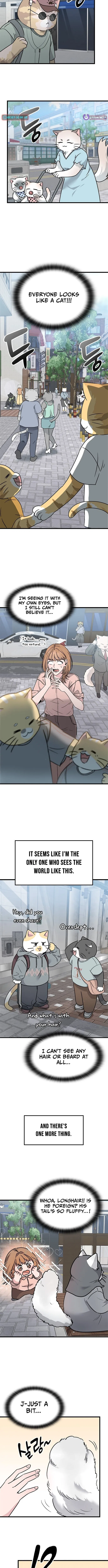 If Everyone in the World Were a Cat Chapter 1 – Page 12
