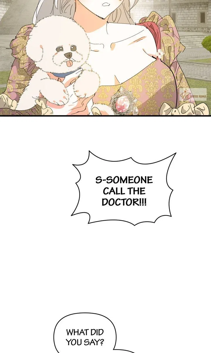 If You Want a Fake Sister Chapter 65 – Page 2