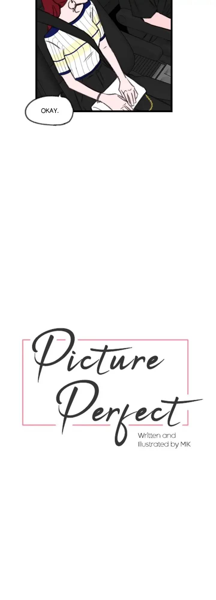 Picture Perfect Chapter 36 – Page 17
