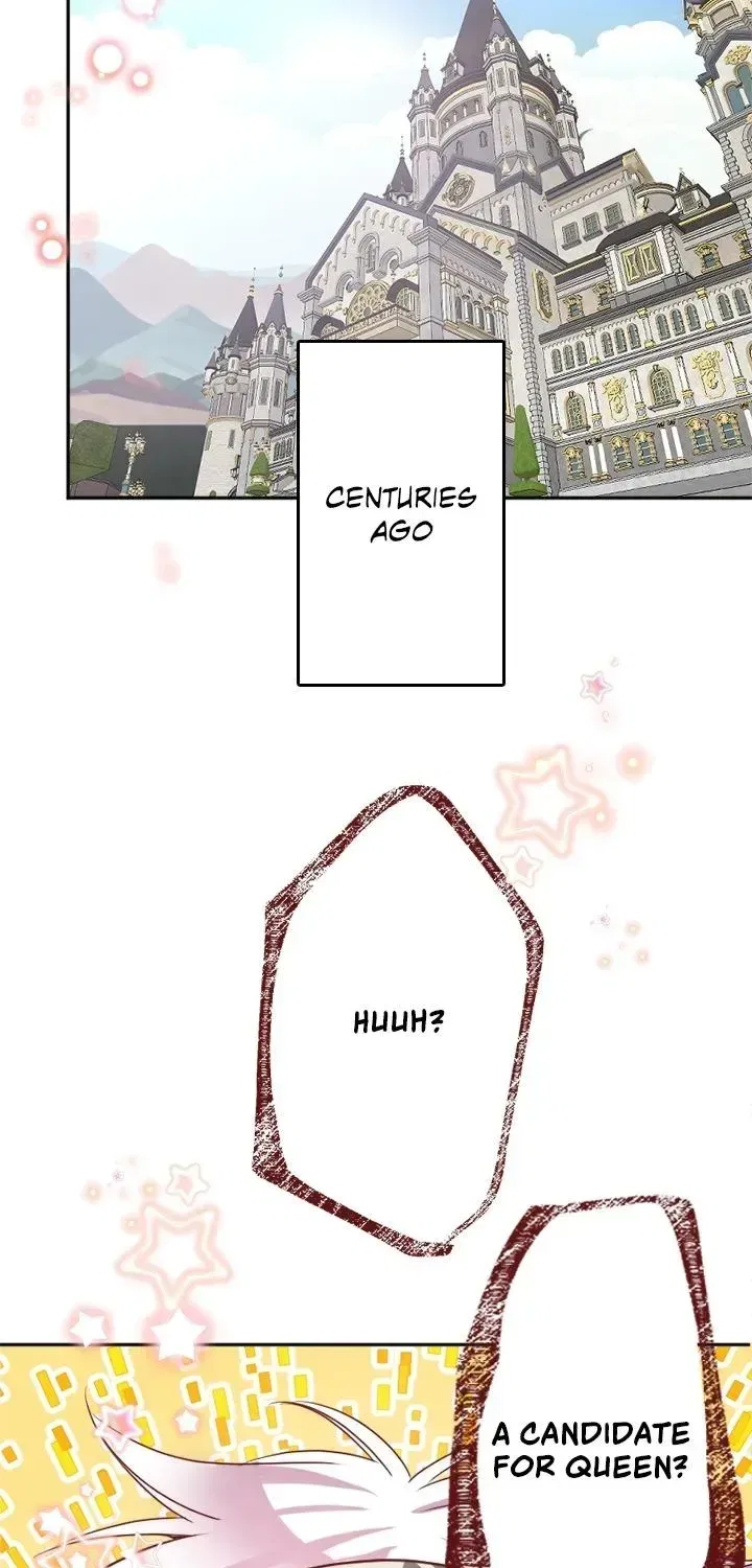 I was Reborn as a Housekeeper in a Parallel World! Chapter 264 – Page 14