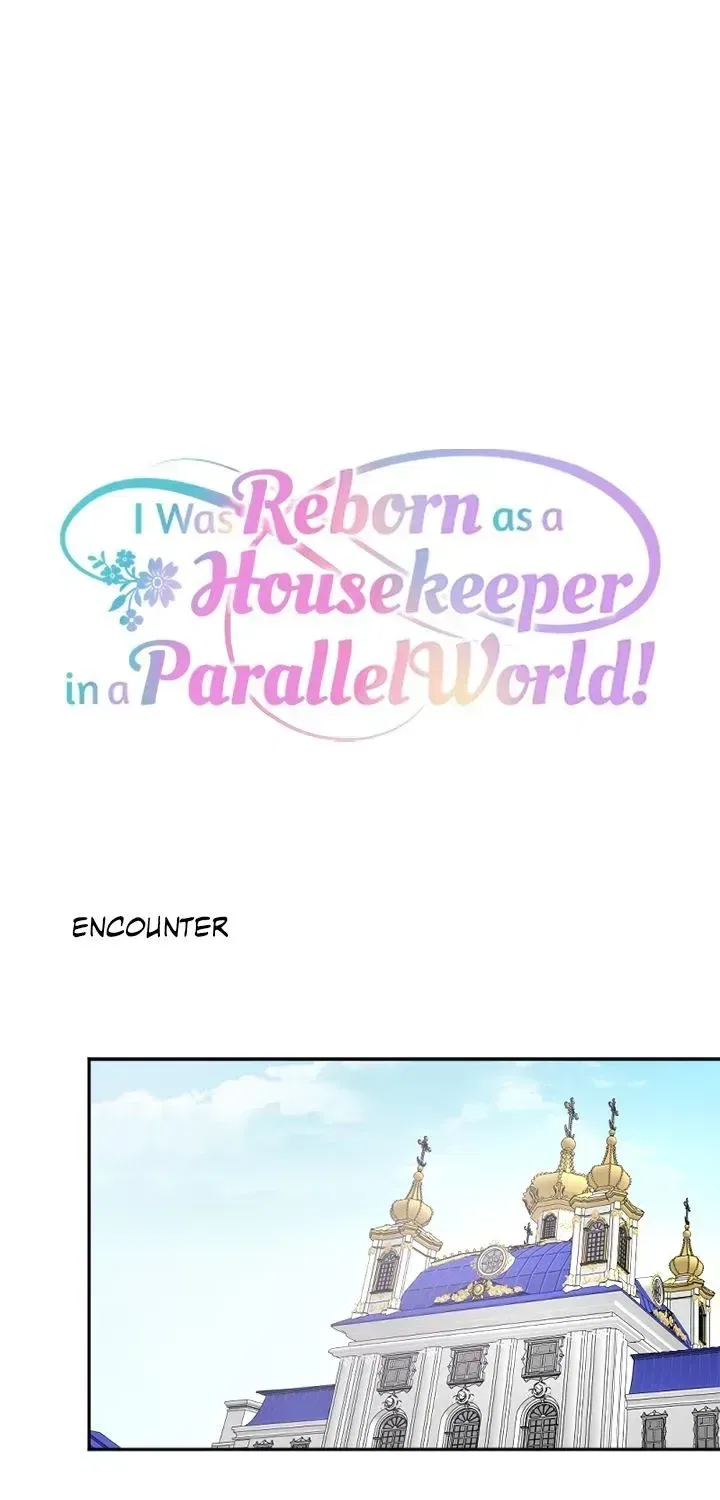I was Reborn as a Housekeeper in a Parallel World! Chapter 263 – Page 32