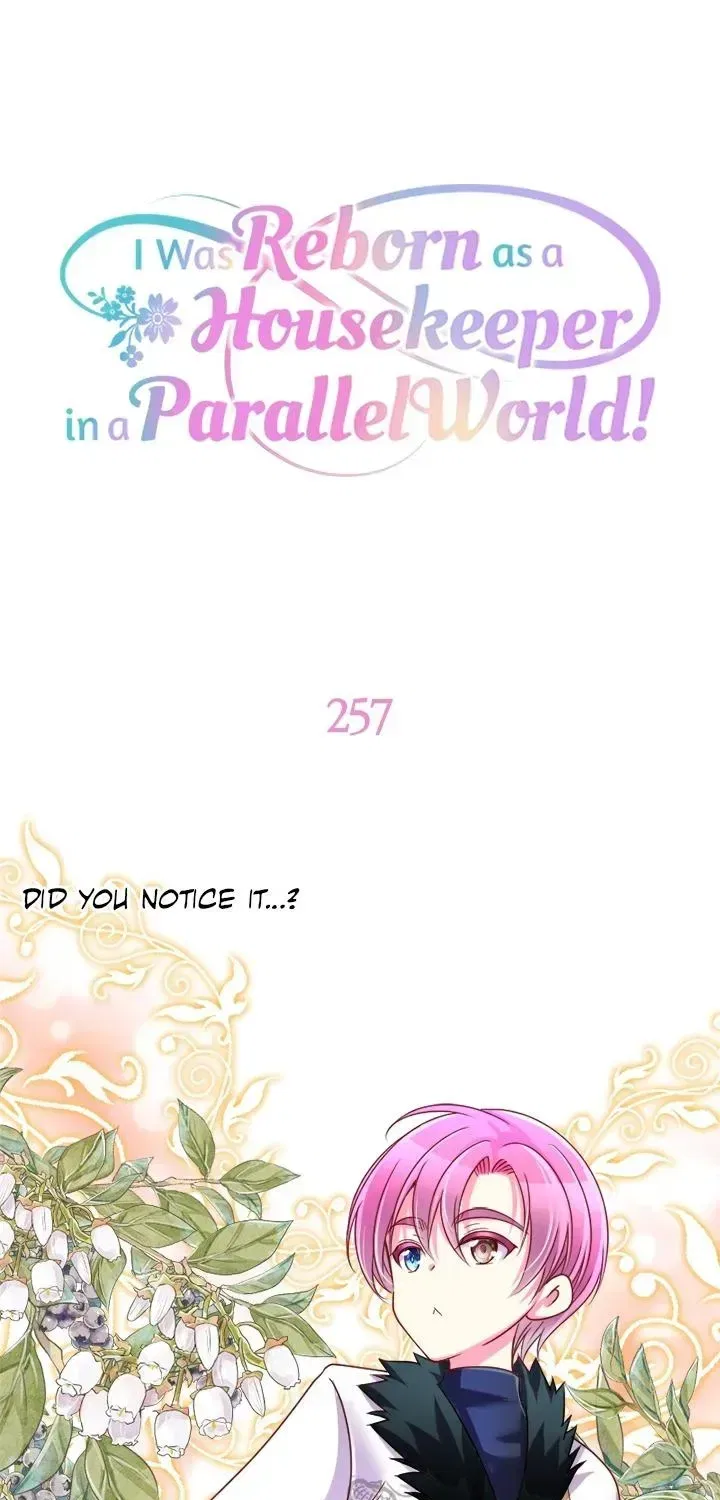 I was Reborn as a Housekeeper in a Parallel World! Chapter 257 – Page 1