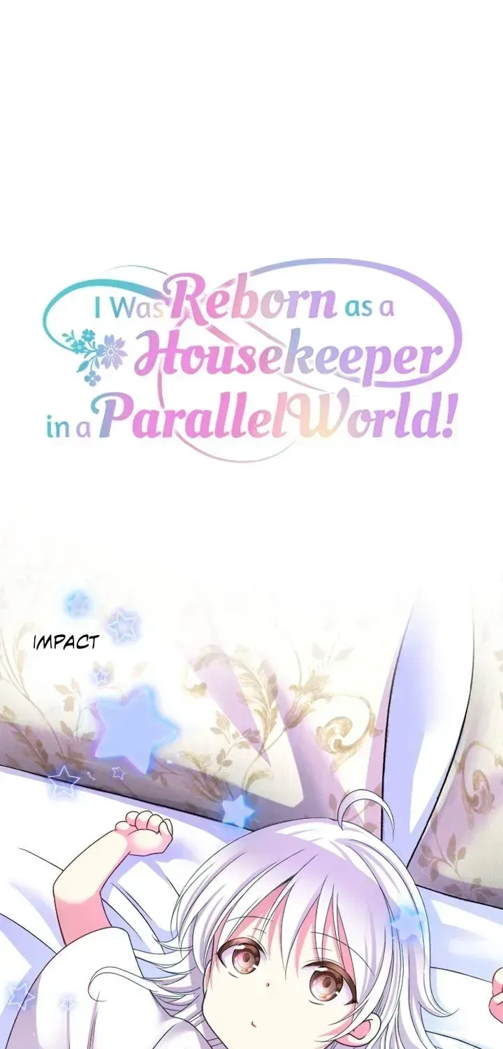 I was Reborn as a Housekeeper in a Parallel World! Chapter 257 – Page 17
