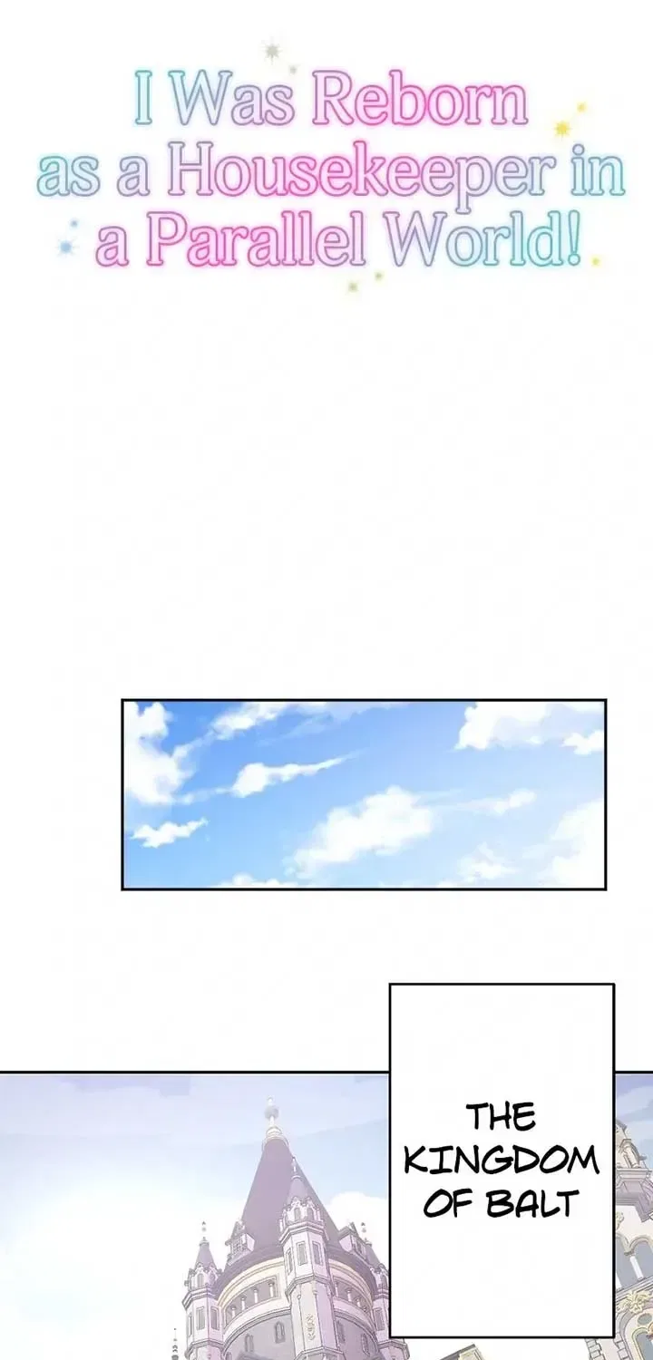 I was Reborn as a Housekeeper in a Parallel World! Chapter 248 – Page 5