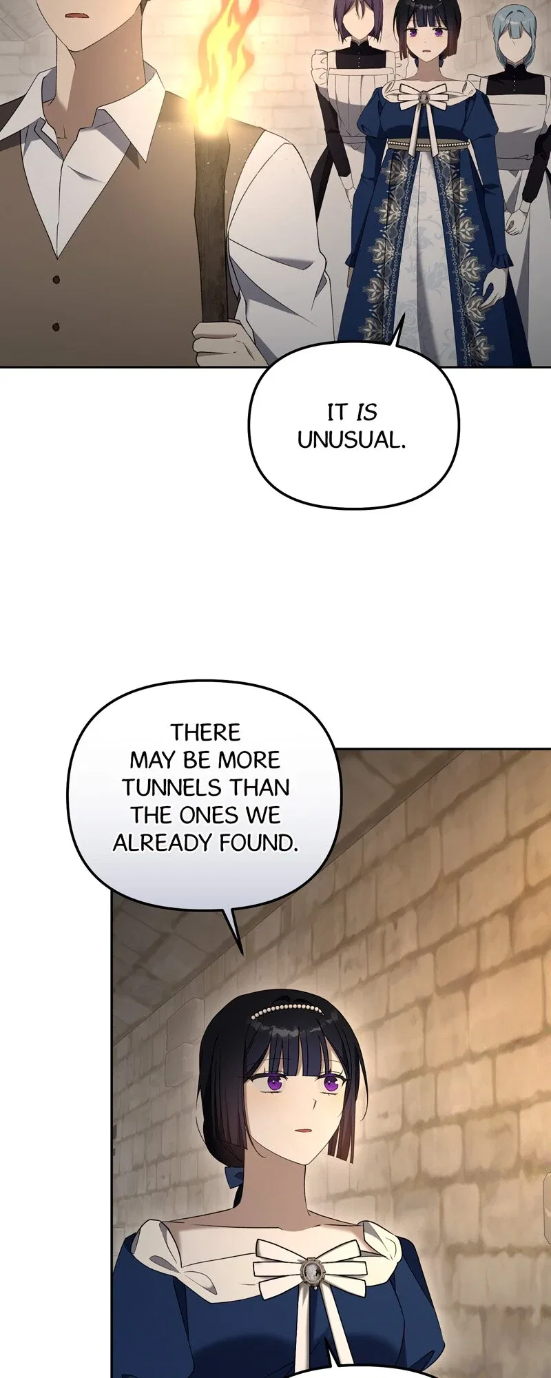 Carnephelia’s Curse is Never Ending Chapter 101 – Page 12