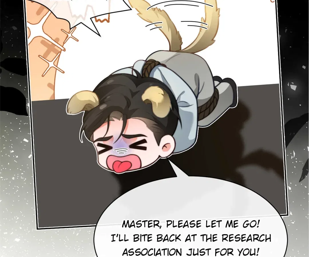 My Brothers Dote On Me Chapter 288 – Page 7